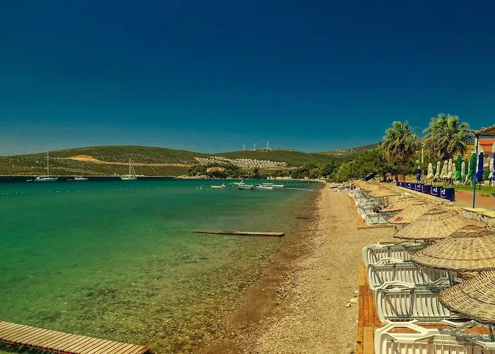 With Pool In The Unique Nature Of Mordogan Villa Karaburun (Izmir)